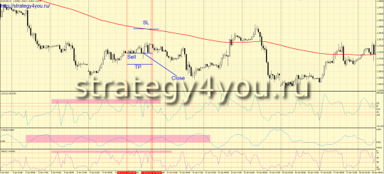 Trading Forex Strategy 