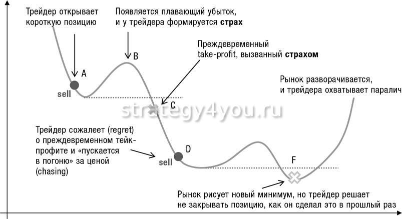   - OptionClue