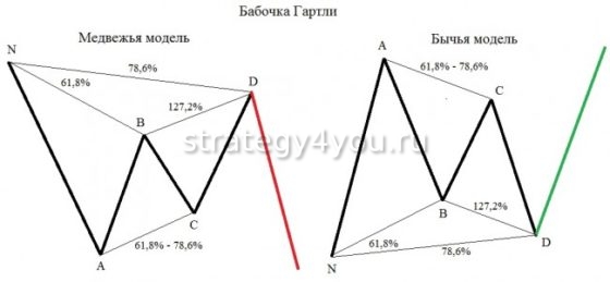 какая бывает бабочка гартли