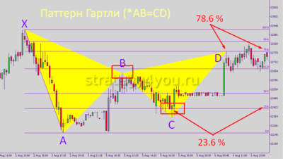 схема построения бабочки гартли