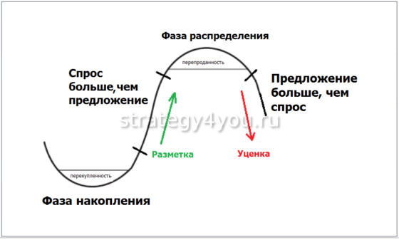 фазы