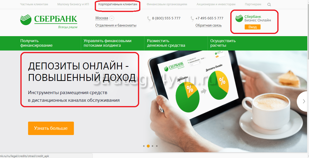 Сбербанк бизнес для юридических лиц. Депозиты для бизнеса Сбербанк. Депозиты для малого бизнеса Сбербанк. Депозиты для юридических лиц Сбербанк. Депозит в Сбер бизнес.