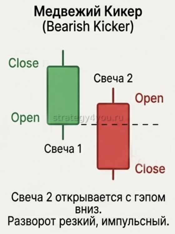 медвежий кикер